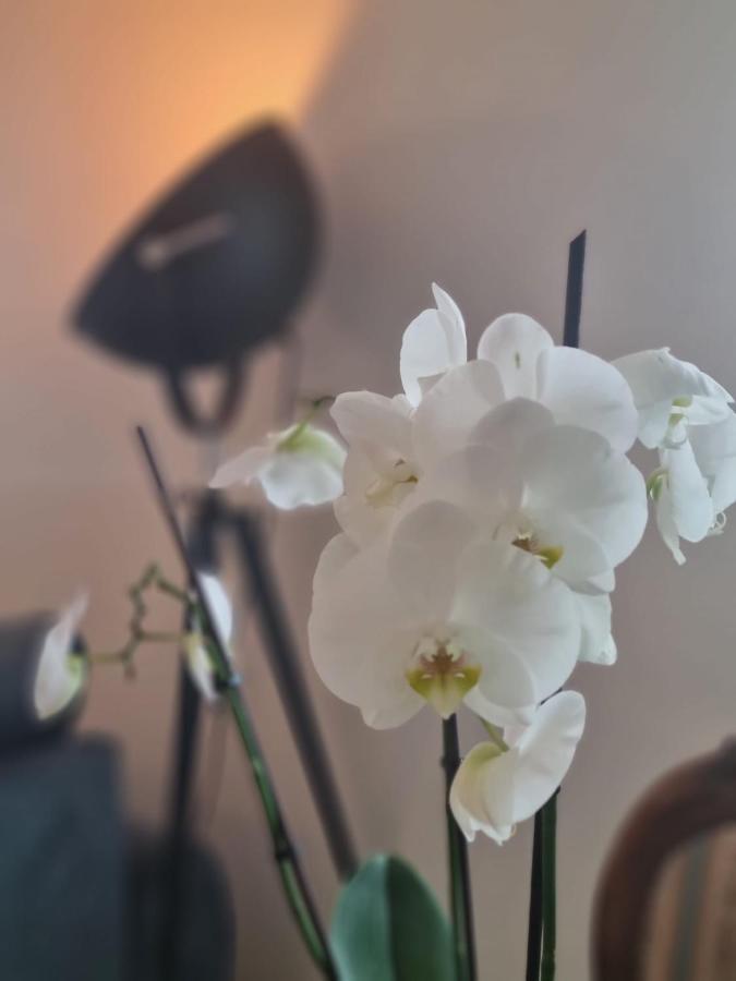 Wellness Ferienhaus ميشرنيش المظهر الخارجي الصورة