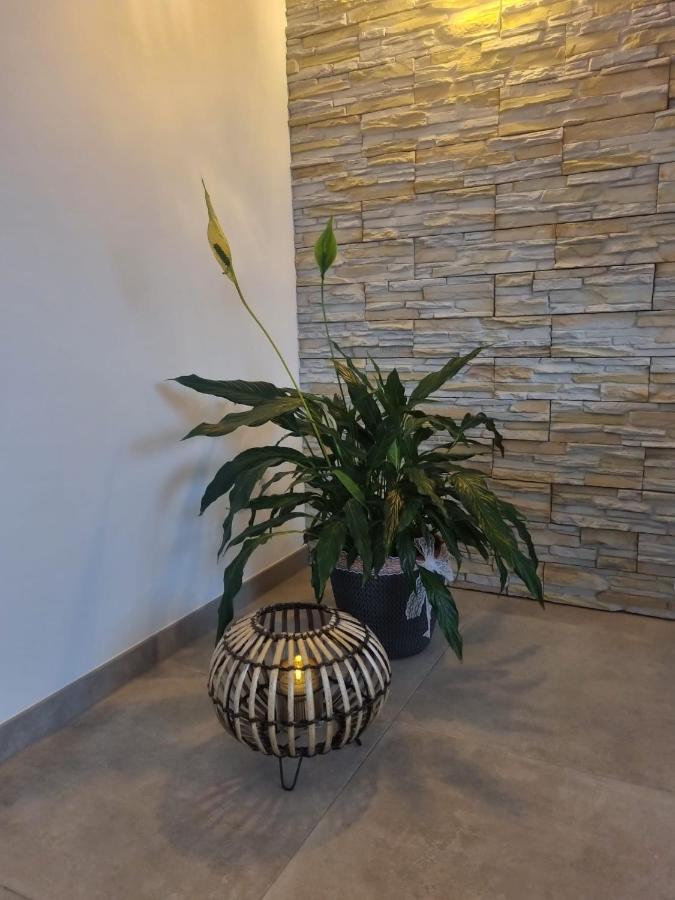 Wellness Ferienhaus ميشرنيش المظهر الخارجي الصورة